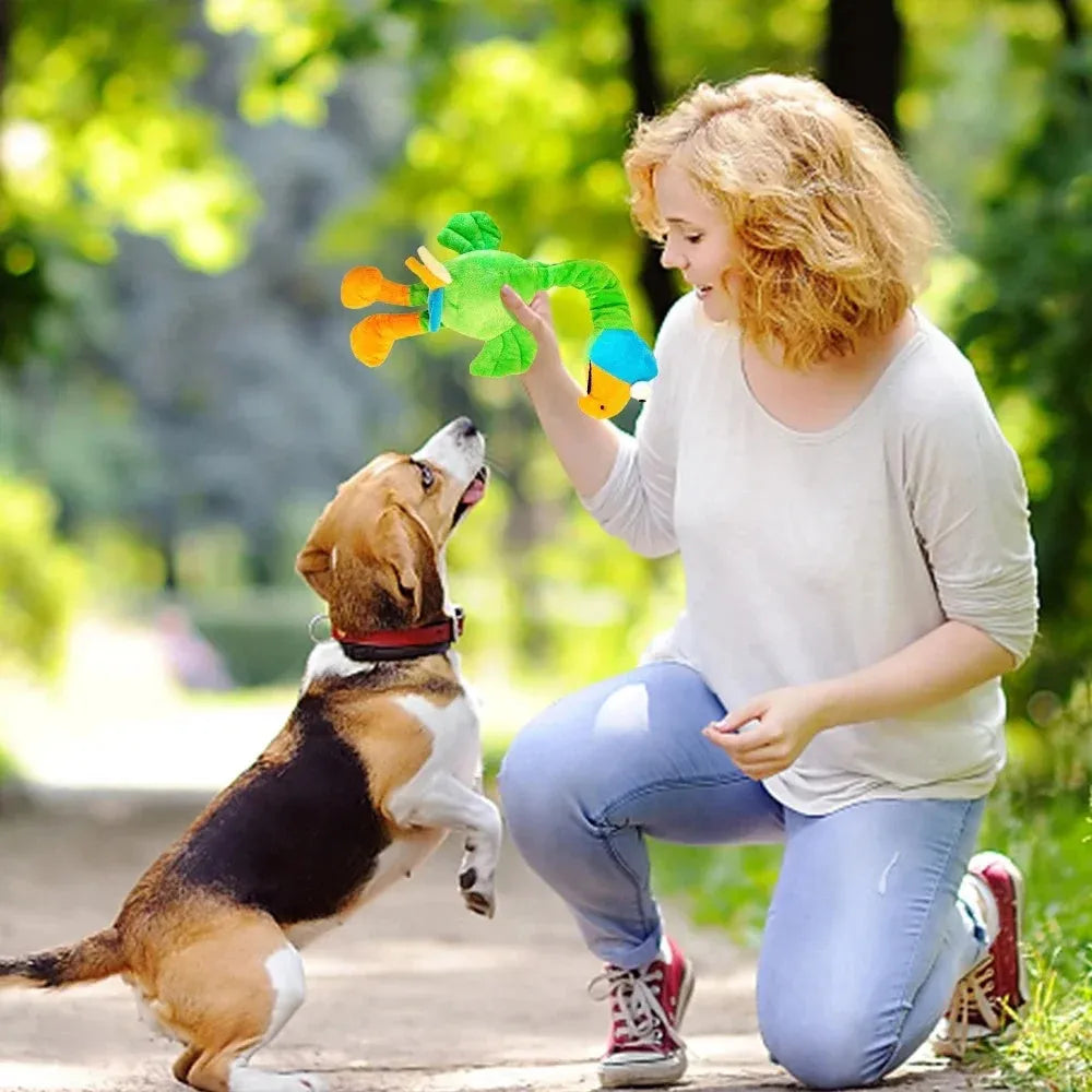 Chicken-shaped plush dog toy with screaming sound and squeaky function in black, green or orange colours