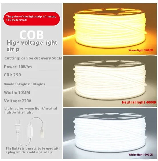 220V high pressure silicone light belt 10W 320 LED beads with plug for home use