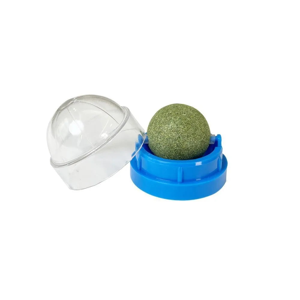 Plastic catnip ball toy in various colours for feline dental care and play