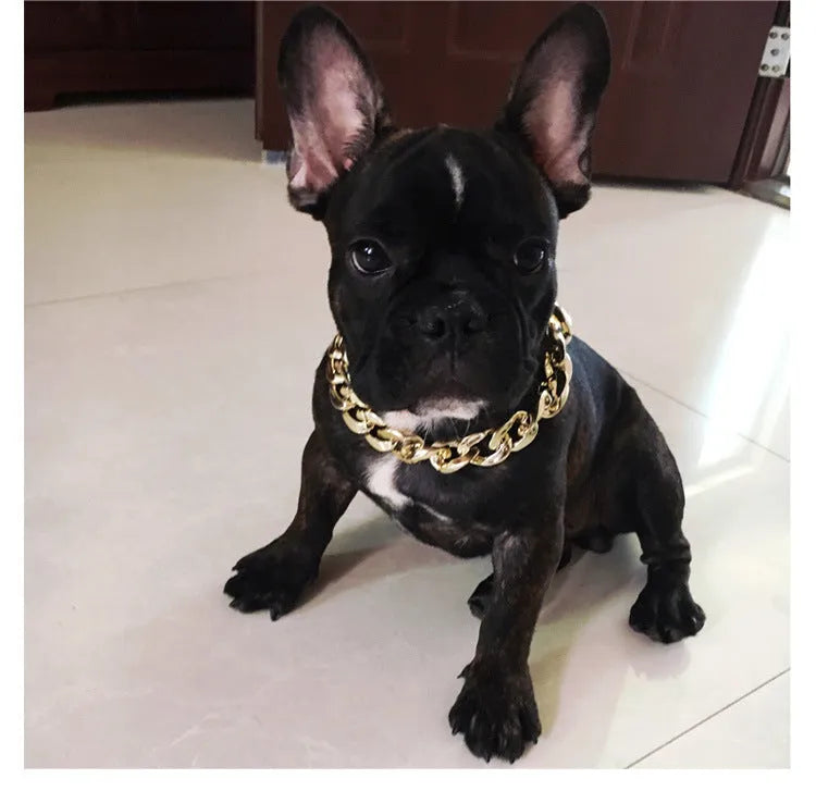 Gold colour adjustable dog collar necklace with twisted chain design for small to medium breeds