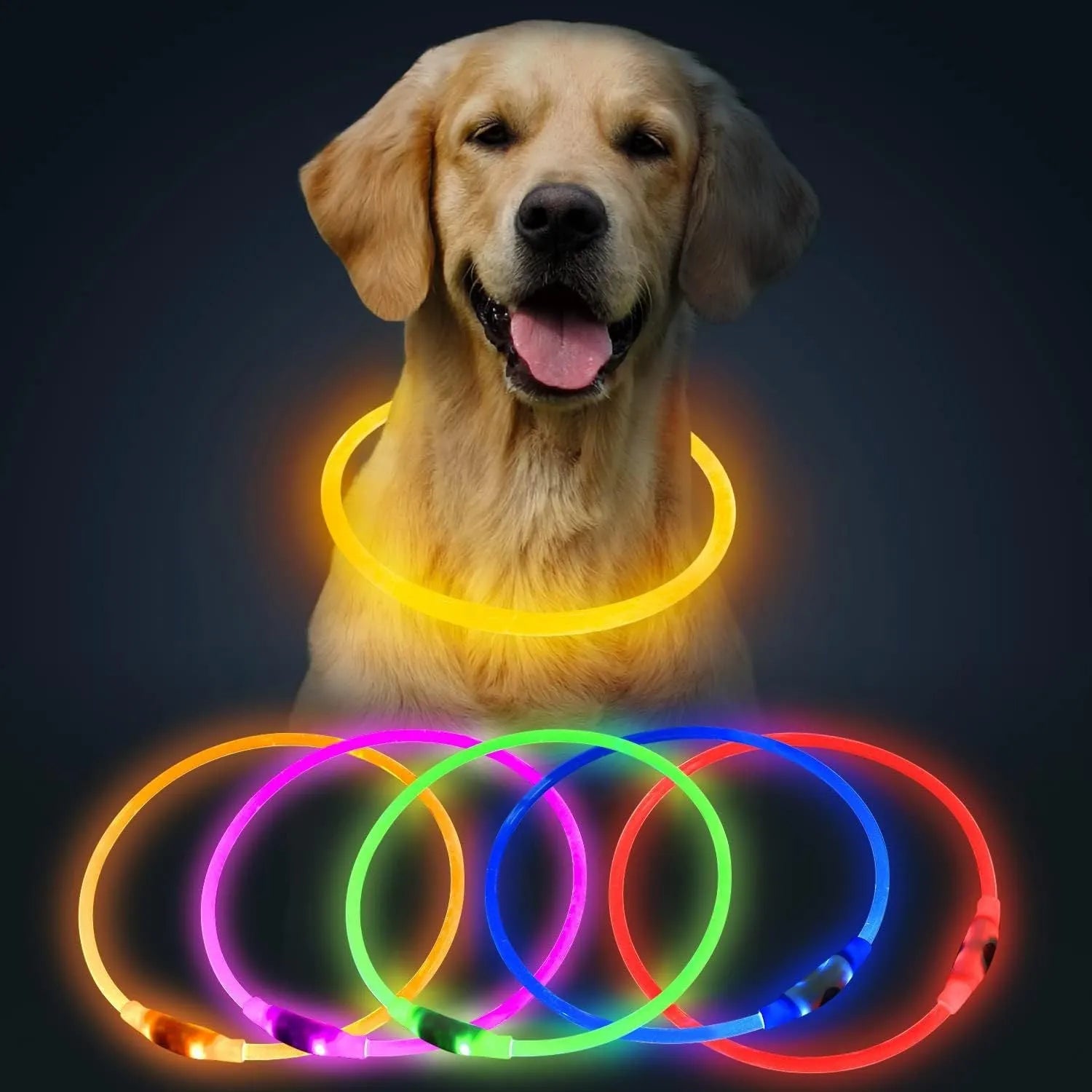 Blue USB rechargeable LED dog collar glowing in the dark on a dog's neck.