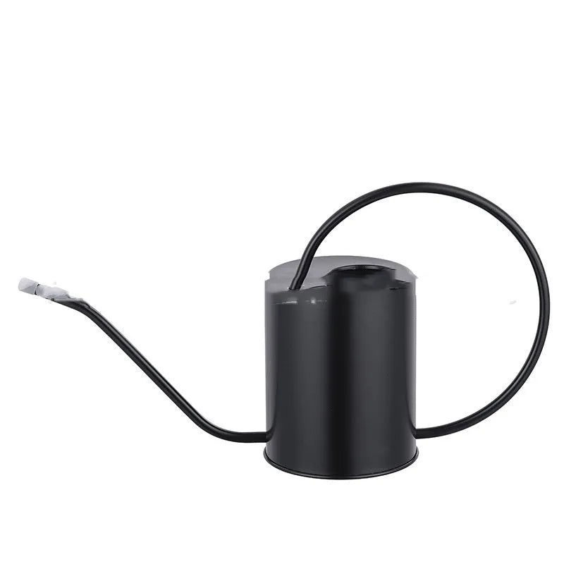 Stainless steel 2 litre watering can with long spout for garden watering