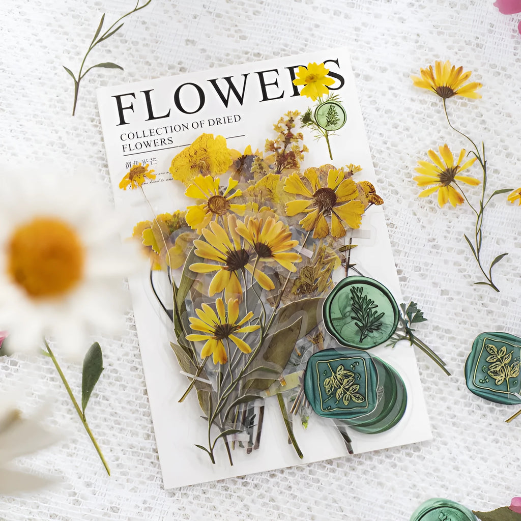 Package of colourful creative dried flower journal stickers showing eight different modern art style designs on clear PET sheets.