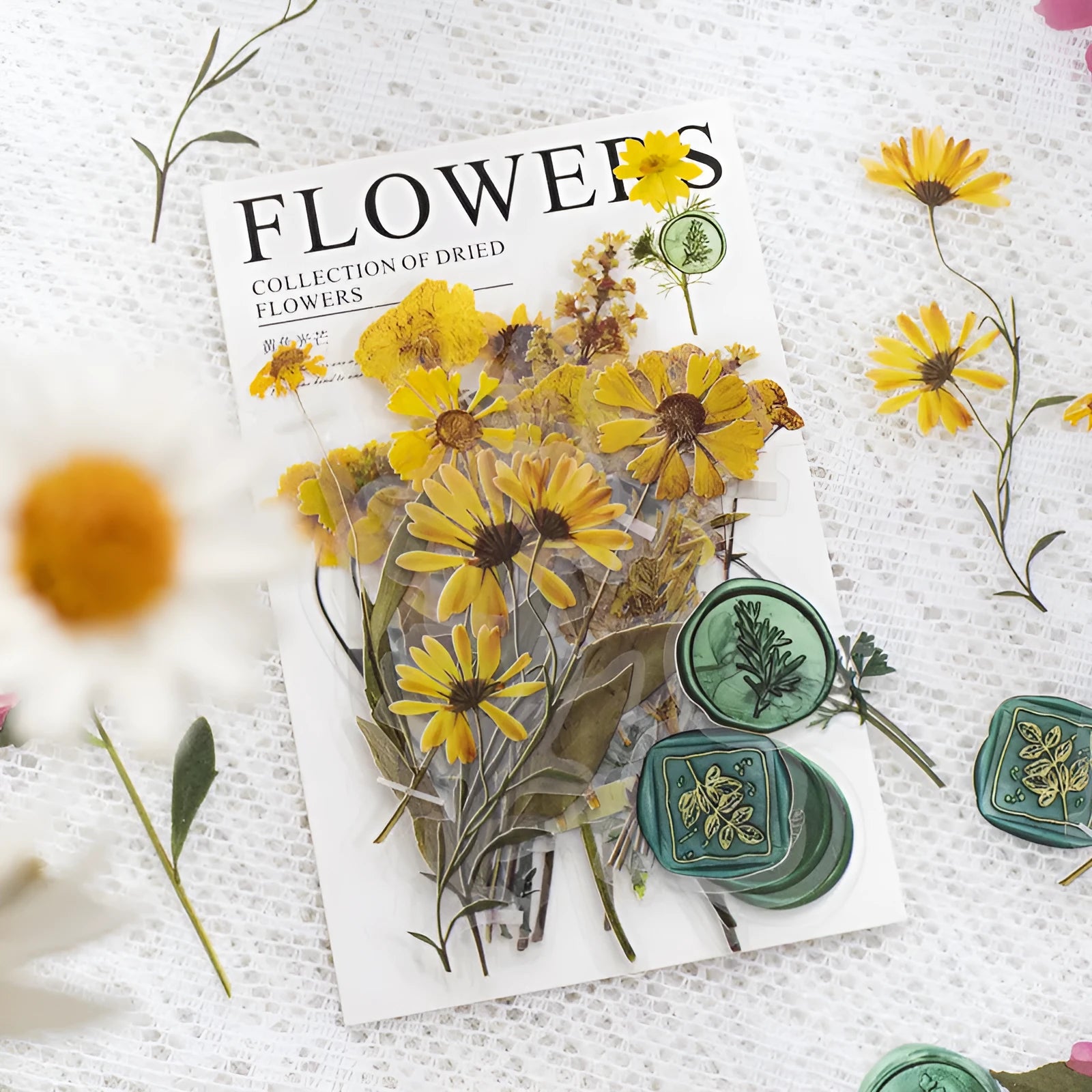Package of colourful creative dried flower journal stickers showing eight different modern art style designs on clear PET sheets.