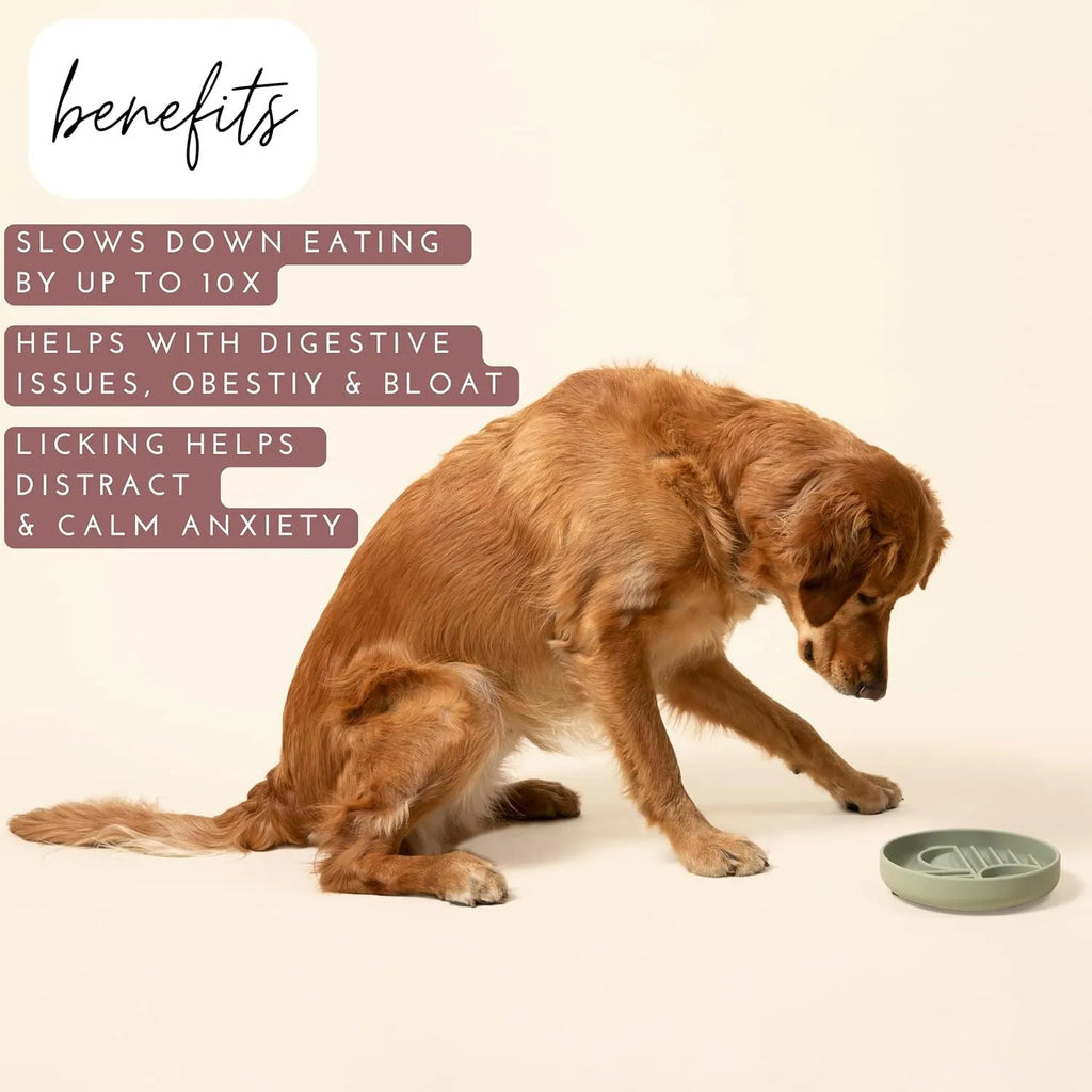 Silicone slow feeder dog bowl with ridges, functioning as a lick mat, in assorted colours.