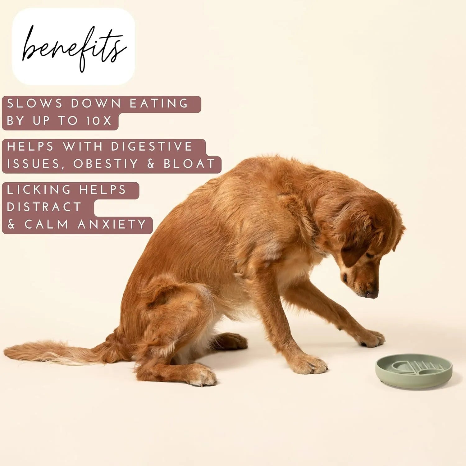 Silicone slow feeder dog bowl with ridges, functioning as a lick mat, in assorted colours.