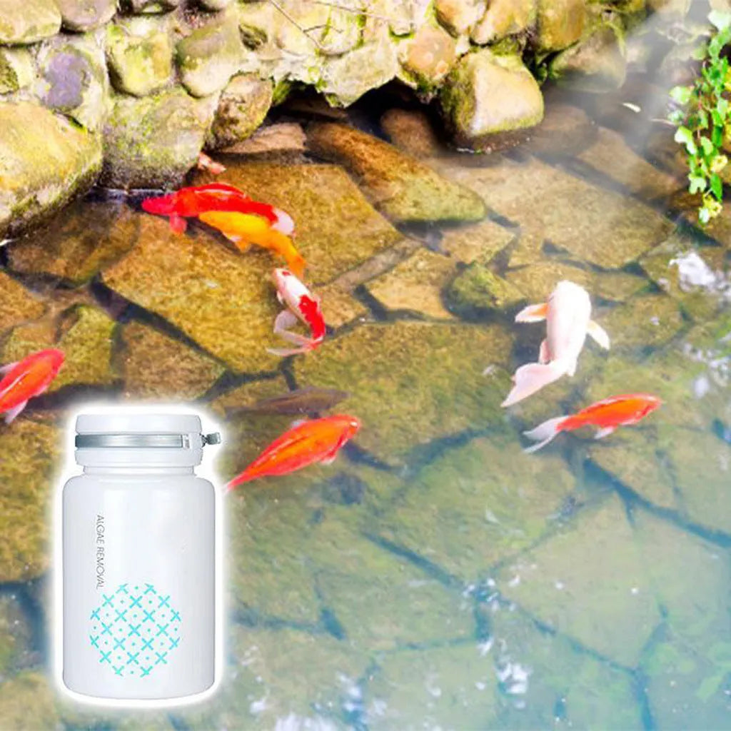 50g net weight algaecide powder for swimming pool and aquarium algae removal
