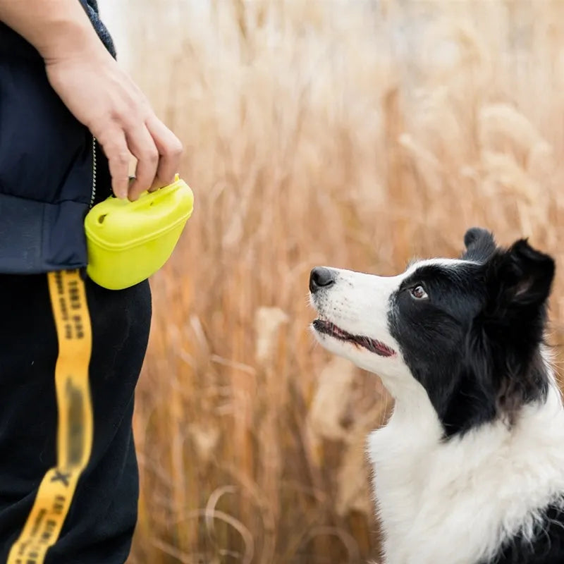 A portable silicone dog treat waist bag with a clip and magnetic opening, shown in available colours.