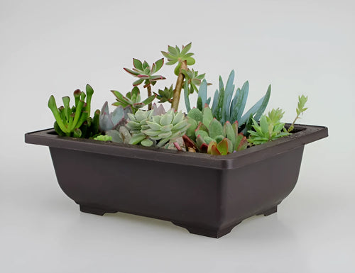 Dark brown antique style recycled plastic plant pot in large rectangle shape for garden or home use