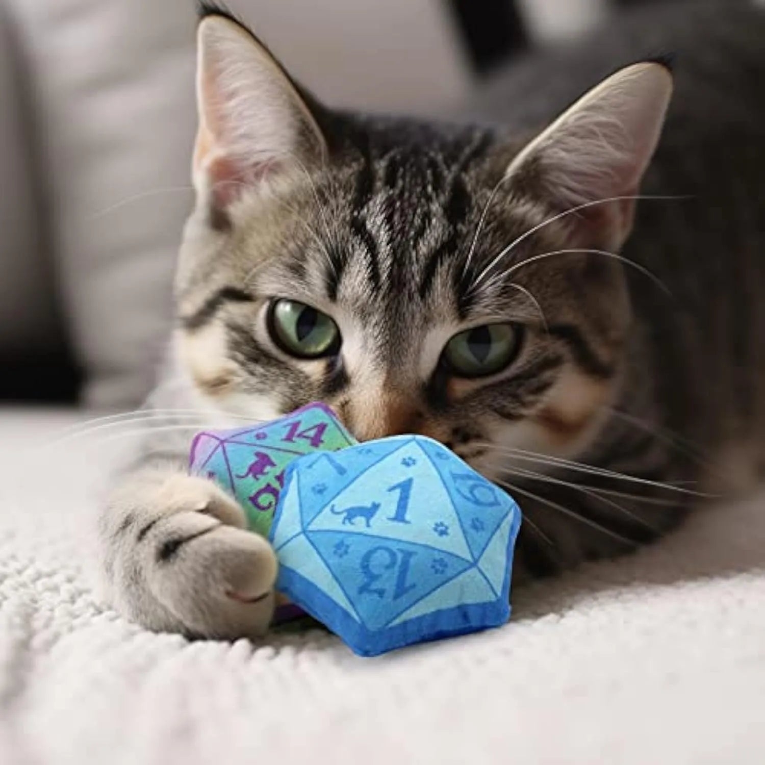 Blue dice-shaped plush cat toy with white pips, filled with organic catnip.