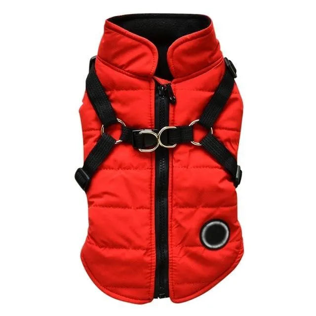 Dog zipper jacket with front zipper and leash harness opening in black