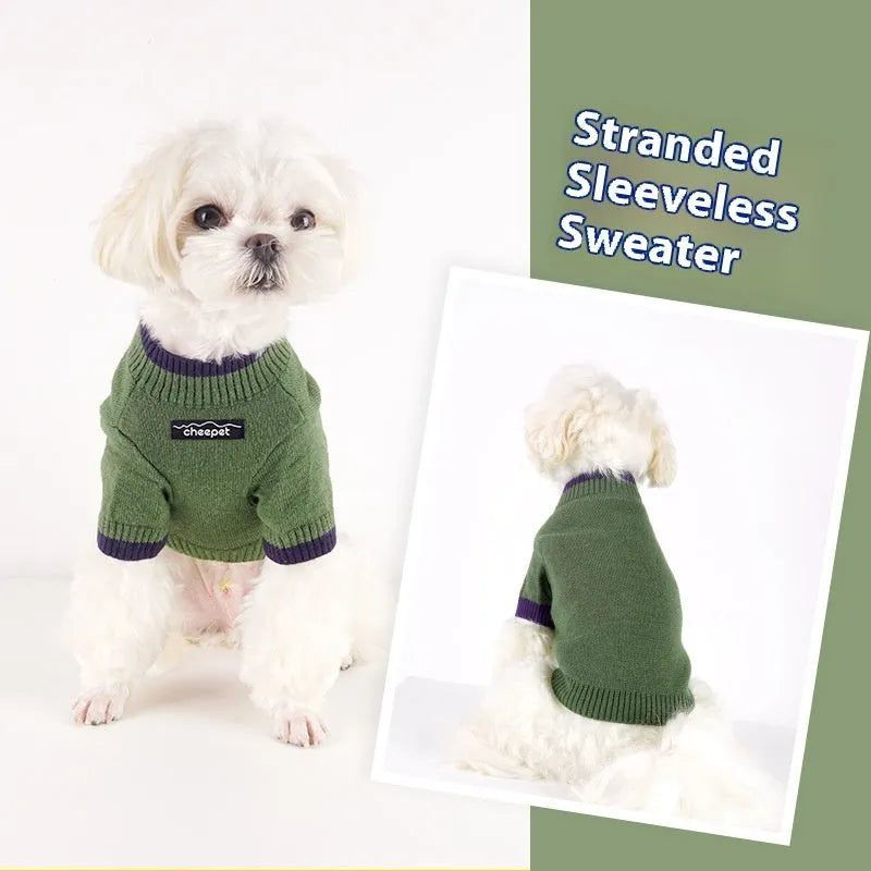 British style wool pet sweater with two-leg design in contrasting colours for fall and winter wear
