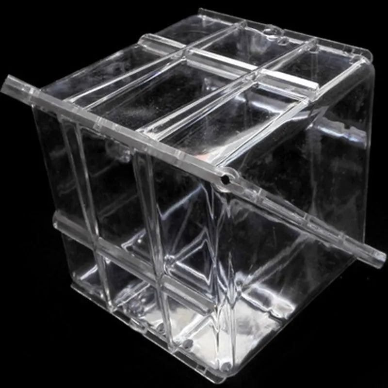 Square plastic watermelon growth mould for creating cube-shaped fruit in agricultural settings