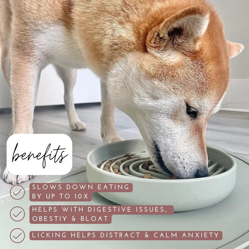 Silicone slow feeder dog bowl with ridges, functioning as a lick mat, in assorted colours.