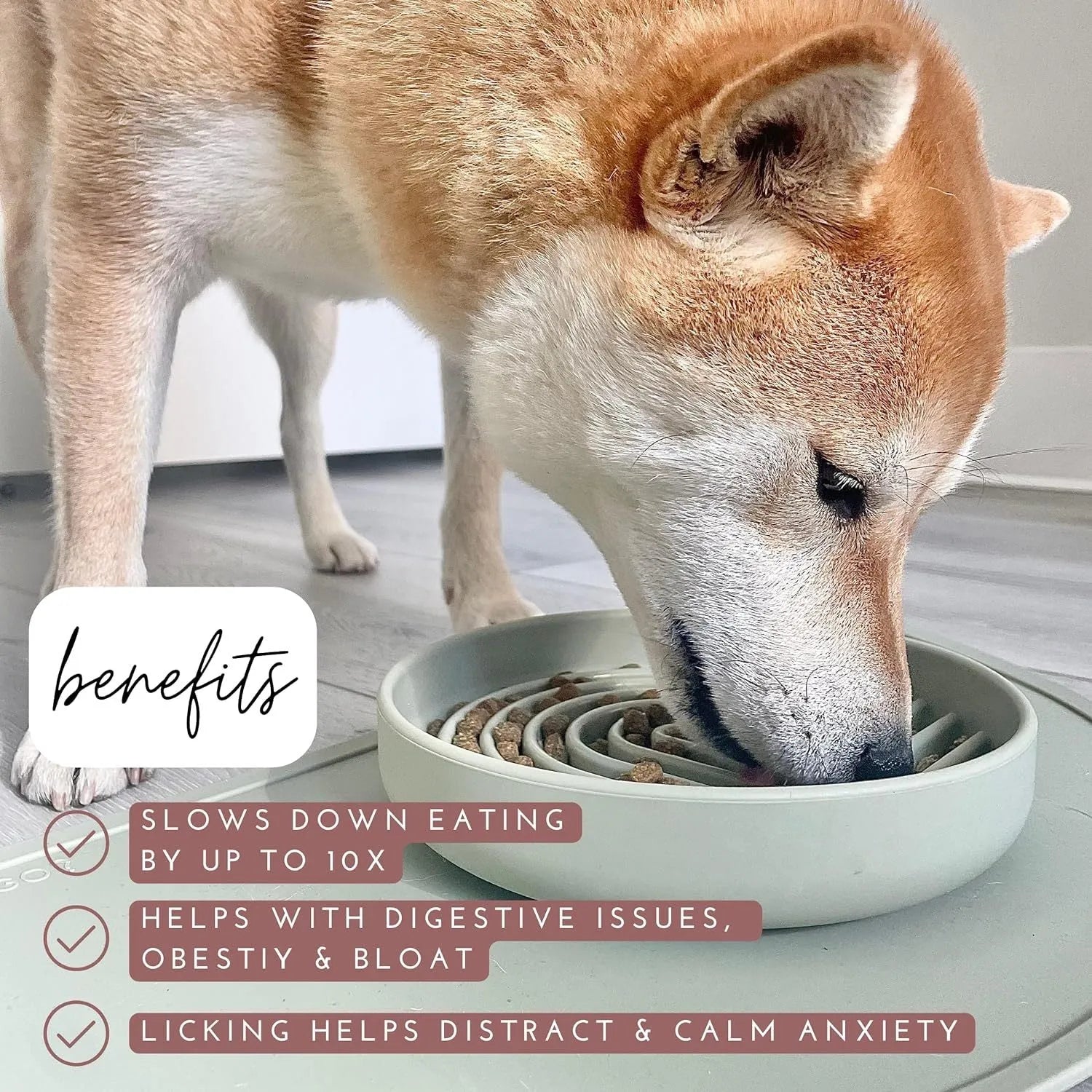 Silicone slow feeder dog bowl with ridges, functioning as a lick mat, in assorted colours.