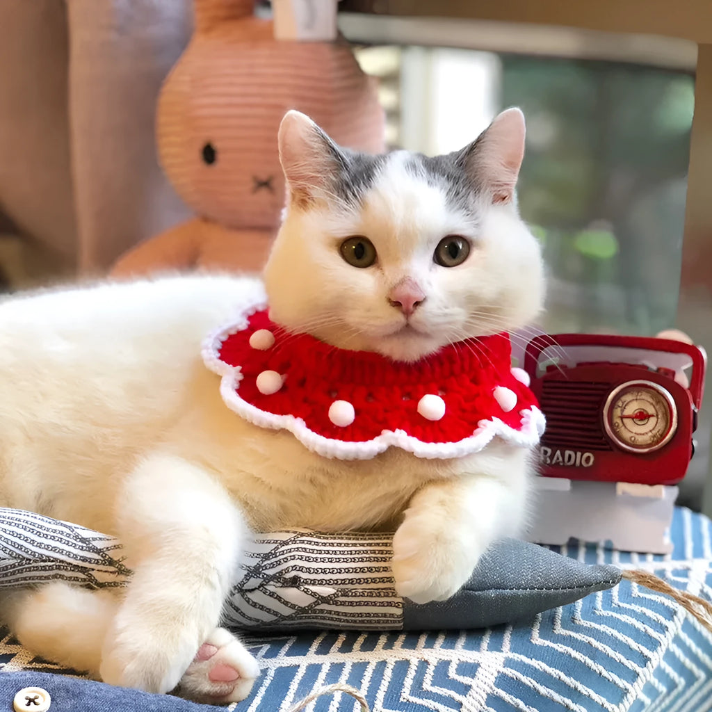 Milk cotton knitted pet collar with cartoon pattern in customisable colours and sizes for cats dogs rabbits