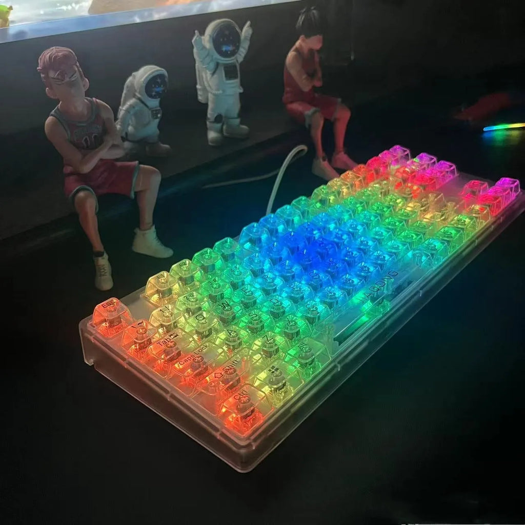 Universal transparent plastic 132-key mechanical keyboard cap set showing clear construction