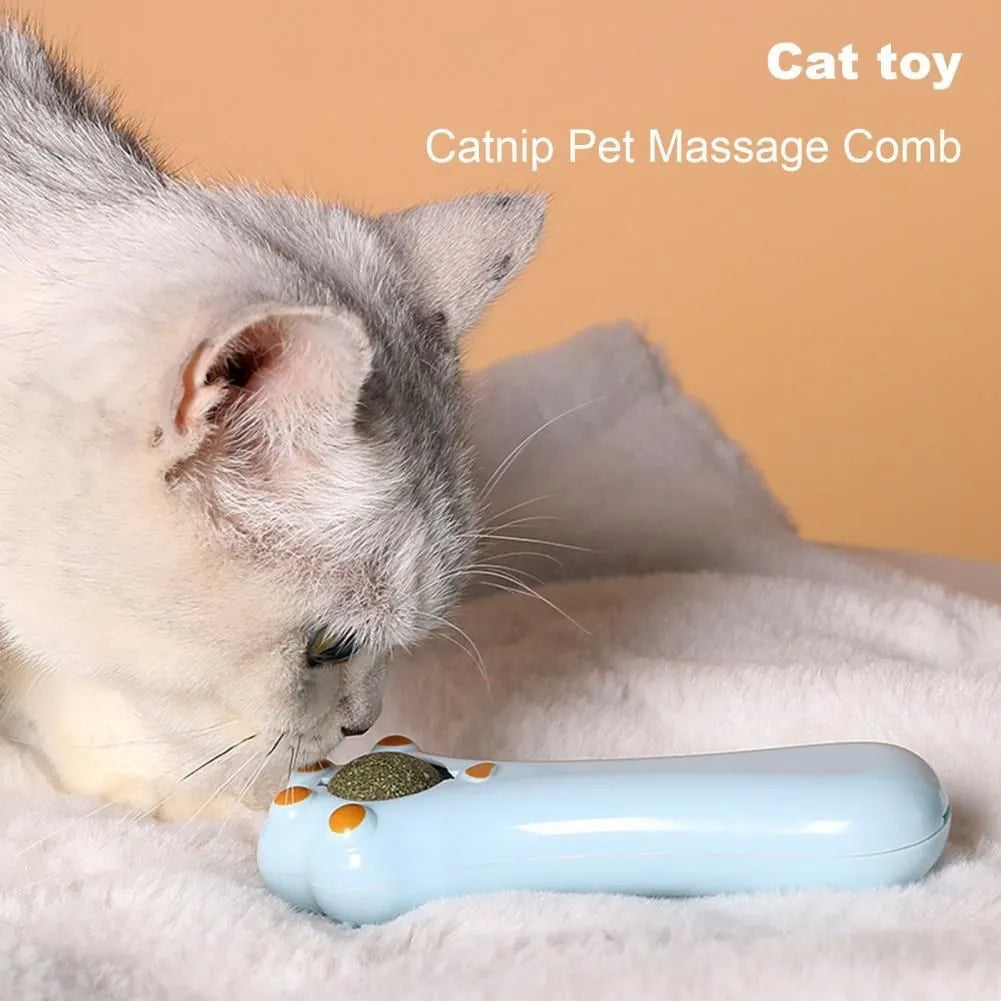 Cartoon design cat massage comb toy with catnip compartment and gentle comb teeth