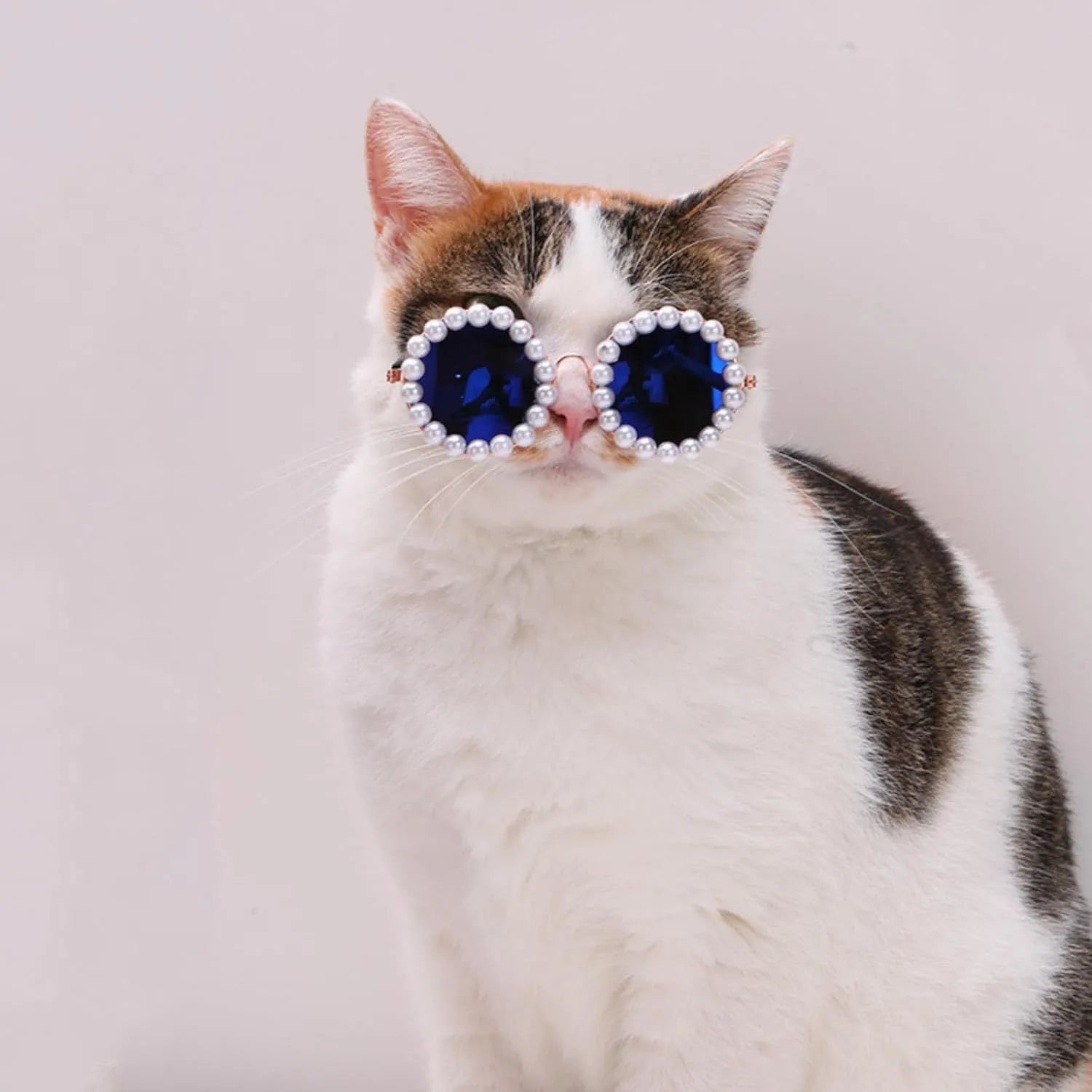 Pearl-rimmed round sunglasses for cats and dogs in multiple colours and sizes