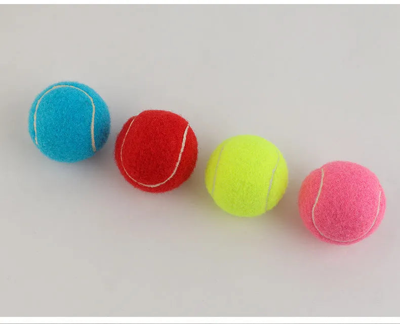 Bite-resistant rubber dog tennis ball in assorted colours, 6.3cm diameter.