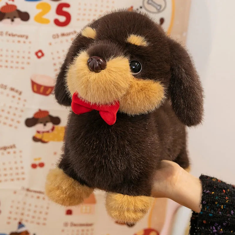 Cute sausage dog long plush pillow toy in 35cm, 45cm, and 65cm sizes for leg support and sleeping