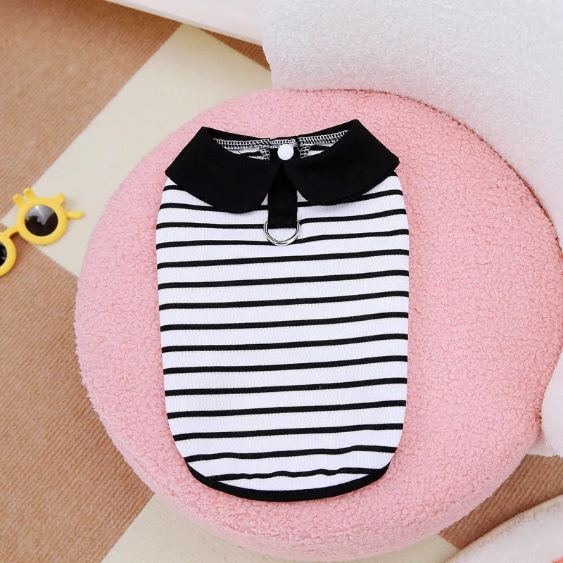 Pet wearing striped cotton t-shirt and matching skirt casual summer outfit