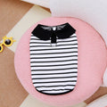 Pet wearing striped cotton t-shirt and matching skirt casual summer outfit