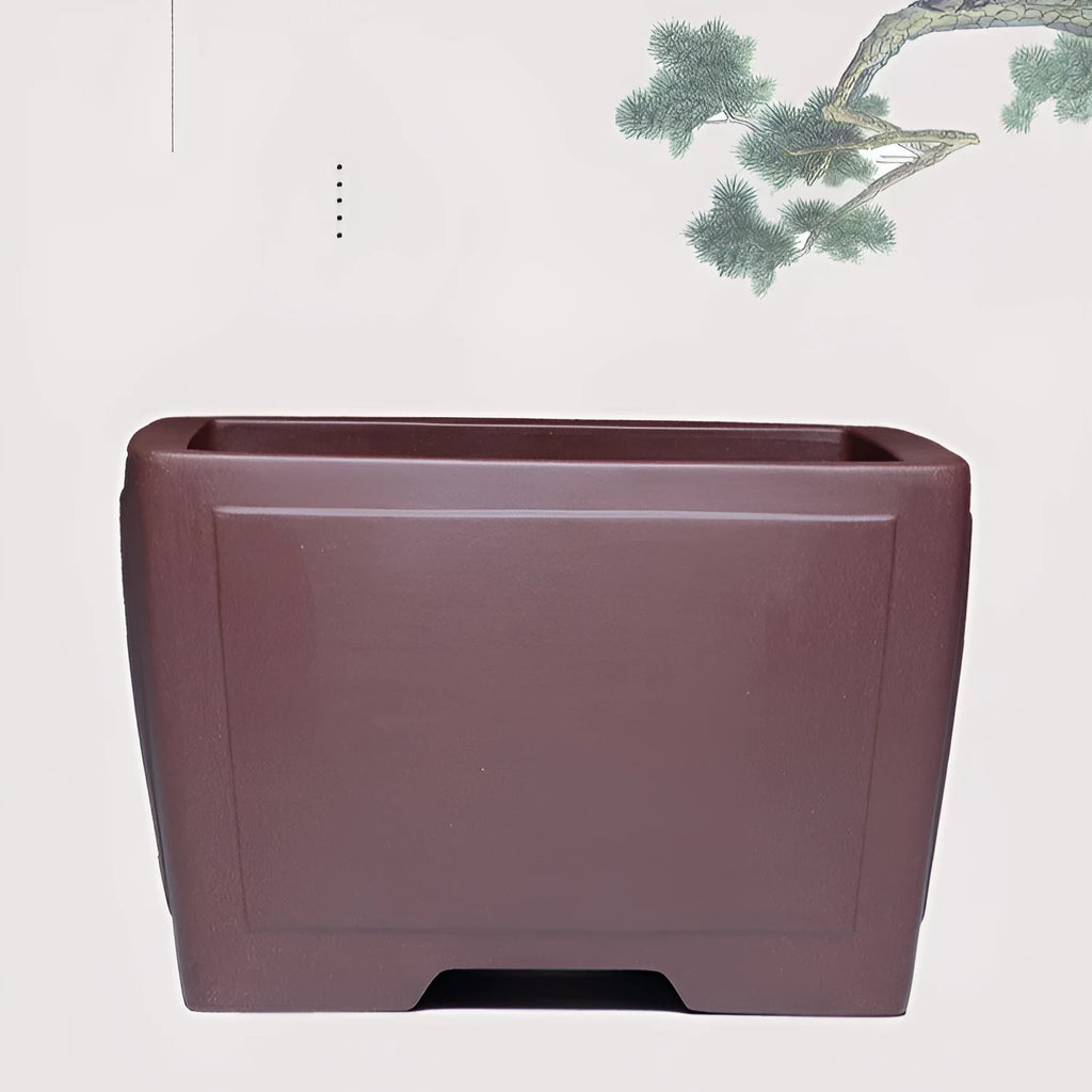 Square purple clay succulent bonsai pot with classical design for plant display