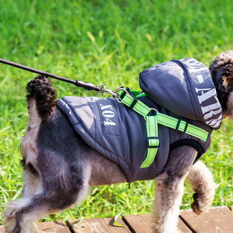 Red fleece-lined waterproof dog coat with hood on a small dog, showing casual style and fit.