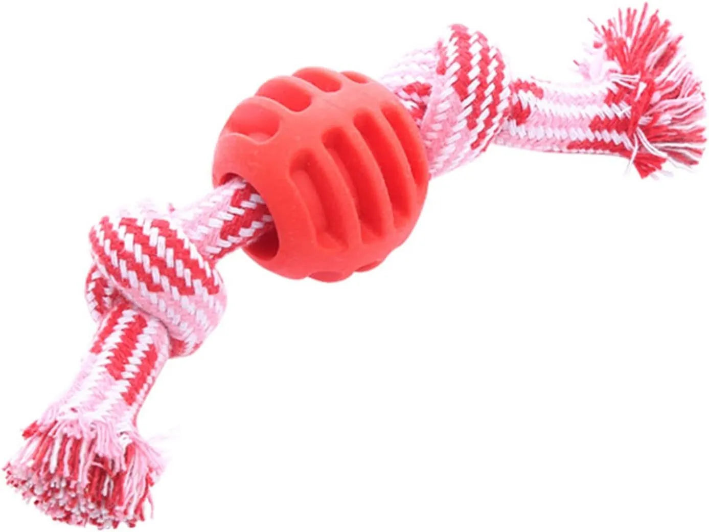 Blue molar-shaped dog chew toy with a white rope threaded through the centre.