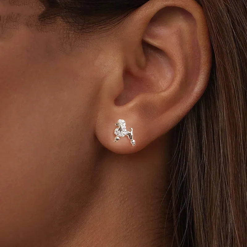 S925 sterling silver mini poodle stud earrings for women cute dog animal zodiac jewellery