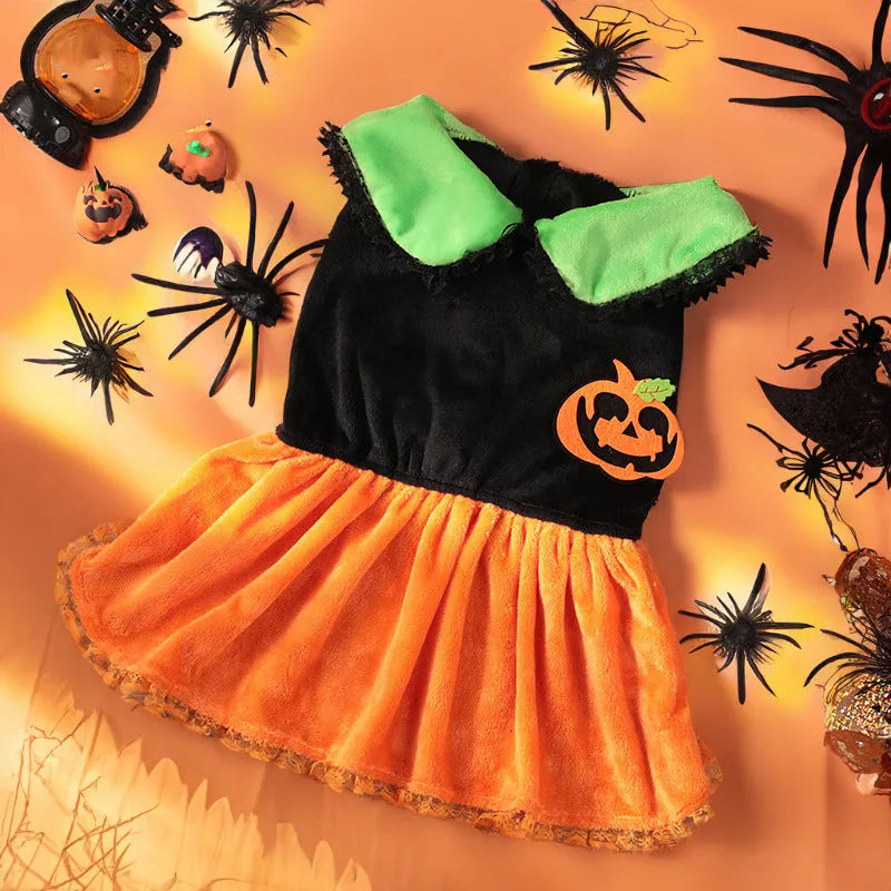 Halloween pet costume for dog or cat, shown as a pumpkin skirt and a sweater in crystal velvet fabric.