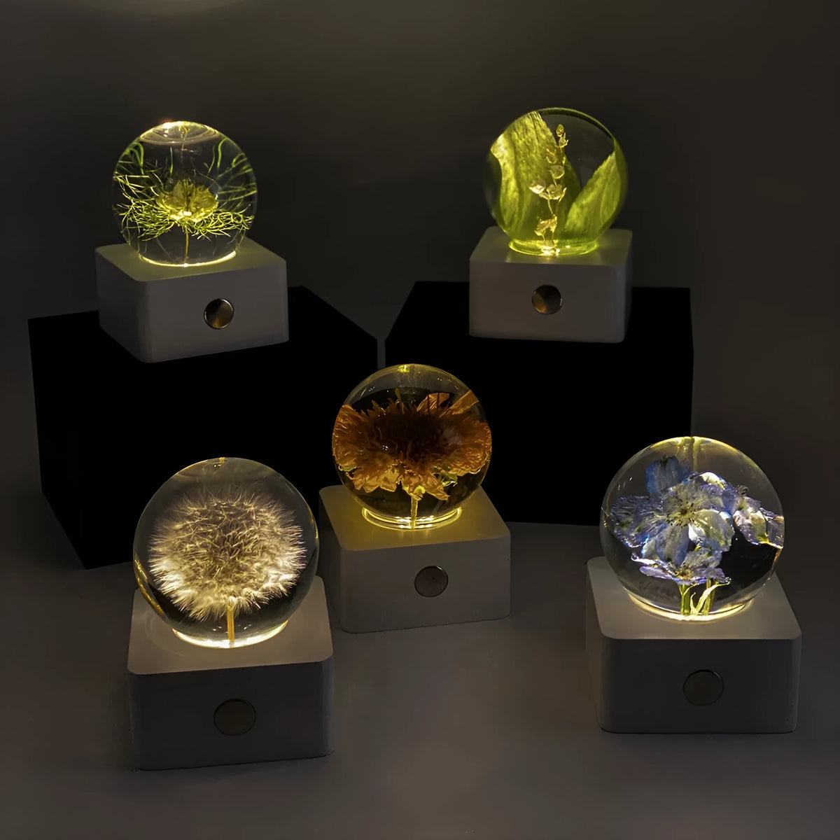 8cm dandelion sunflower specimen USB night light desktop decoration with one USB cable