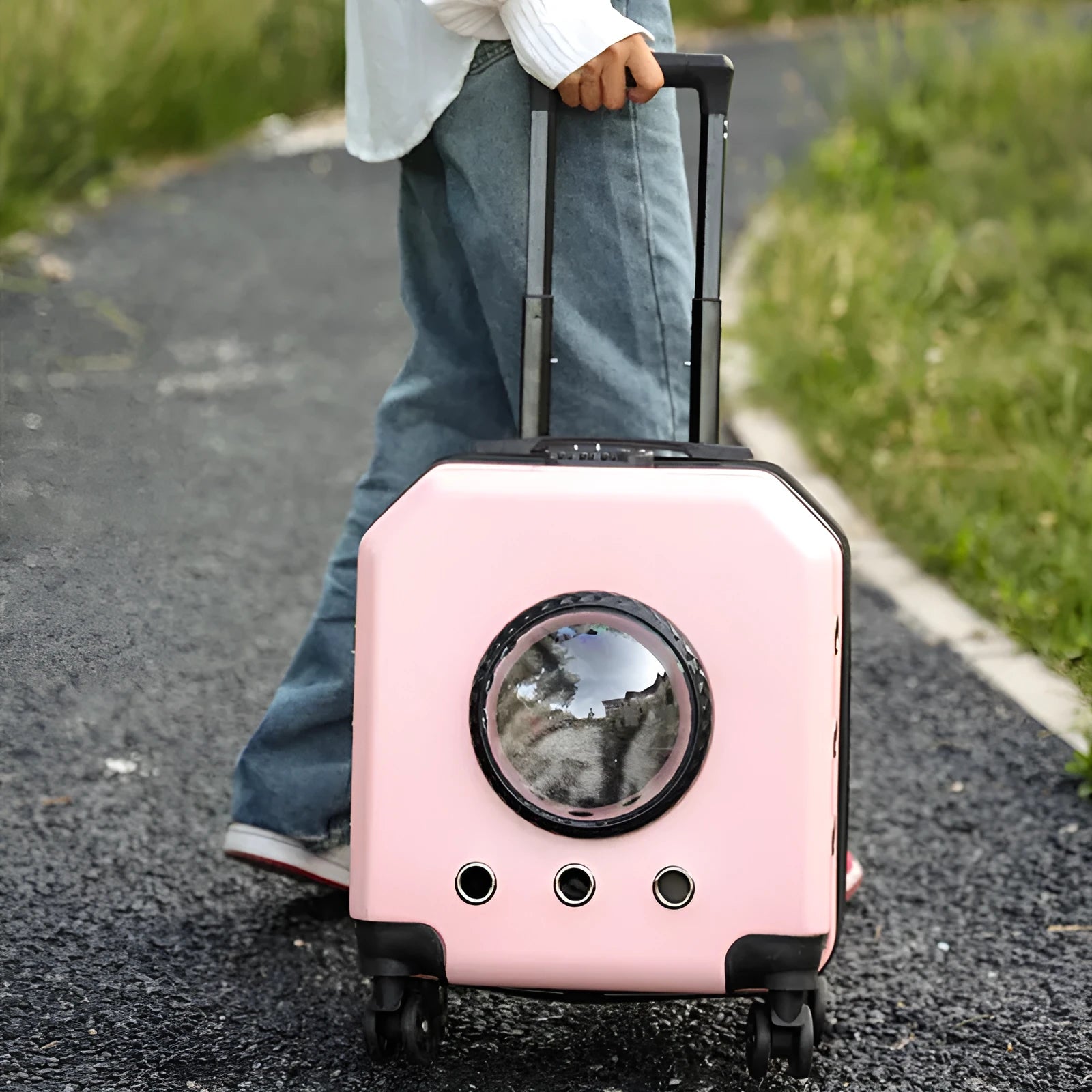 Hard-shell pink PVC pet flight case on wheels for cat air travel.
