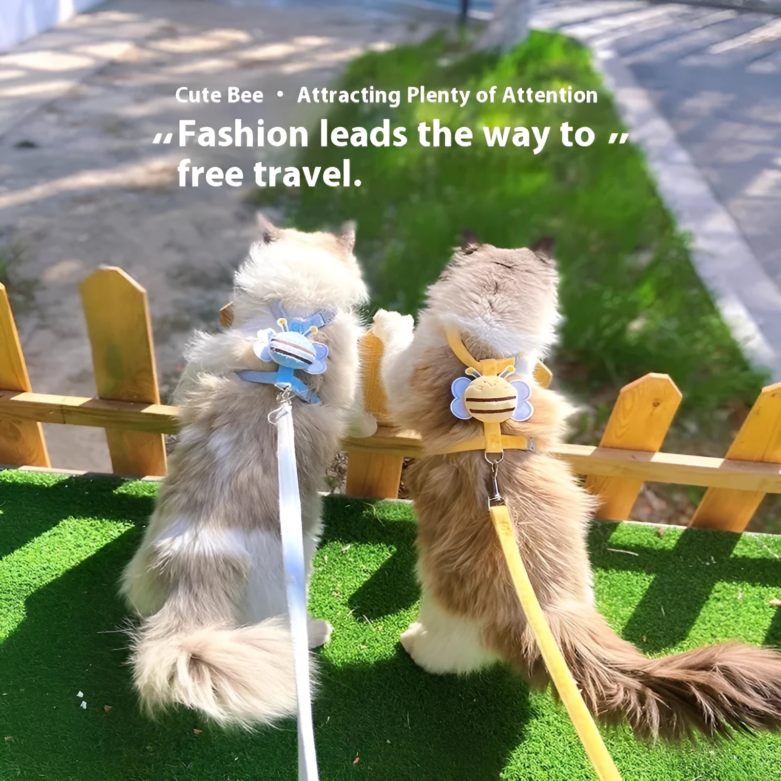 Bee-shaped cat harness and lead set in blue, pink, and yellow colours for small and medium cats.
