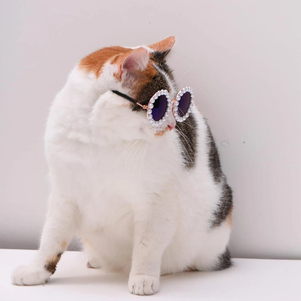 Pearl-rimmed round sunglasses for cats and dogs in multiple colours and sizes