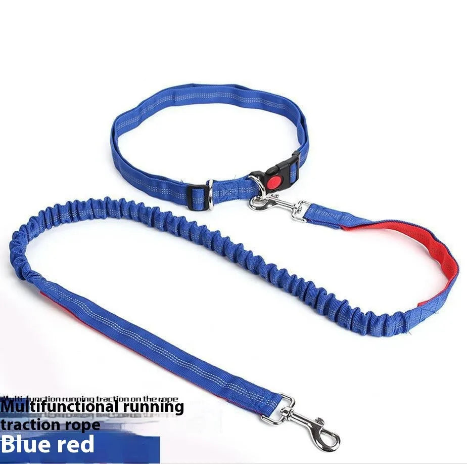 Grey and green two-tone nylon dog leash with reflective strip, showing 2.5cm width and clip.