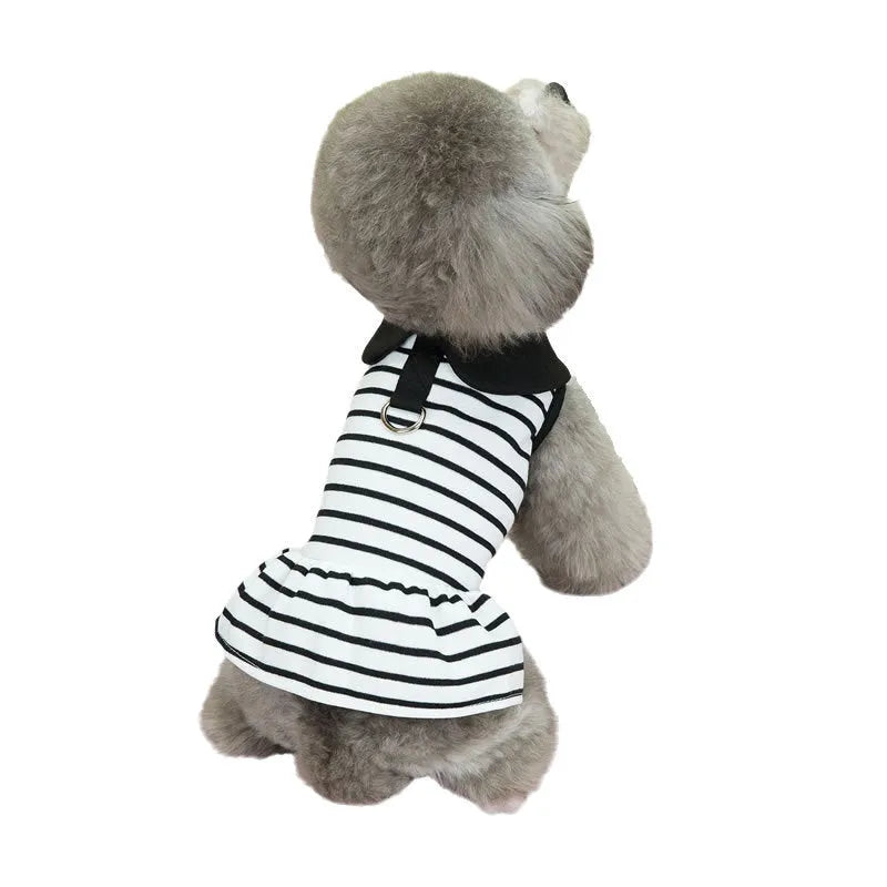 Pet wearing striped cotton t-shirt and matching skirt casual summer outfit