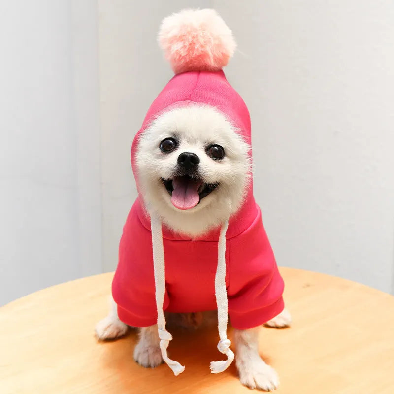 Fruit dog clothes two-legged hooded green fleece outfit for small dogs autumn winter pet sweater