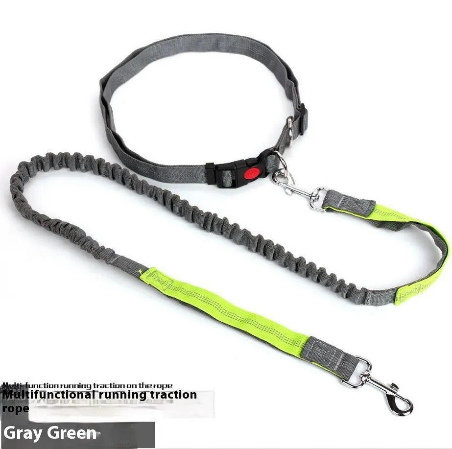 Grey and green two-tone nylon dog leash with reflective strip, showing 2.5cm width and clip.