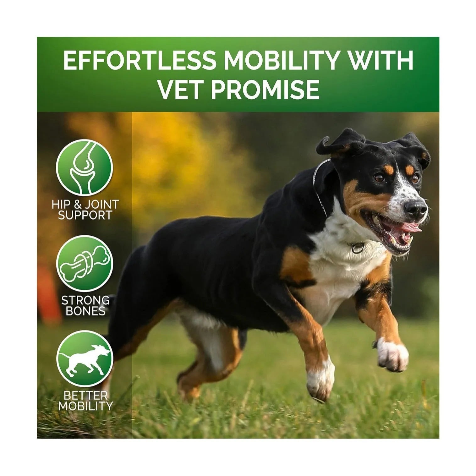 Pet hip and joint supplement chondroitin chewable tablets 300g for dogs and cats