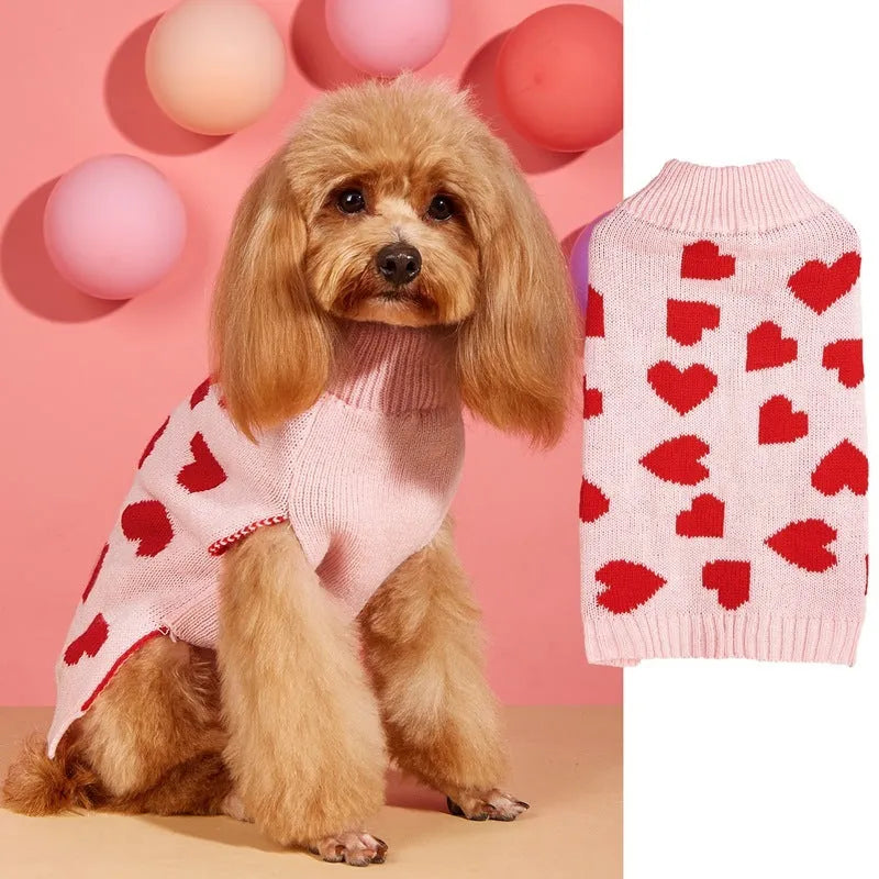 Small dog wearing an acrylic sweater with pink bow and love heart design
