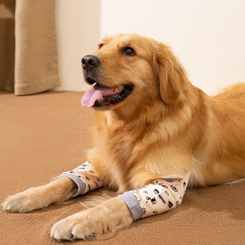 Adjustable dog knee protector with padded elbow patch and matching scarf in blue colour