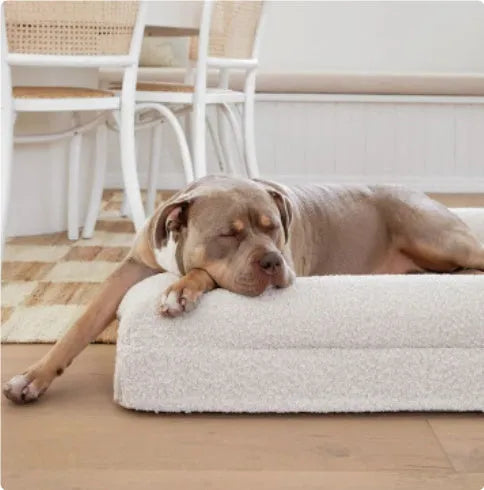 Rectangular pet sofa bed with thickened mattress in cloth material, available in multiple sizes for dogs