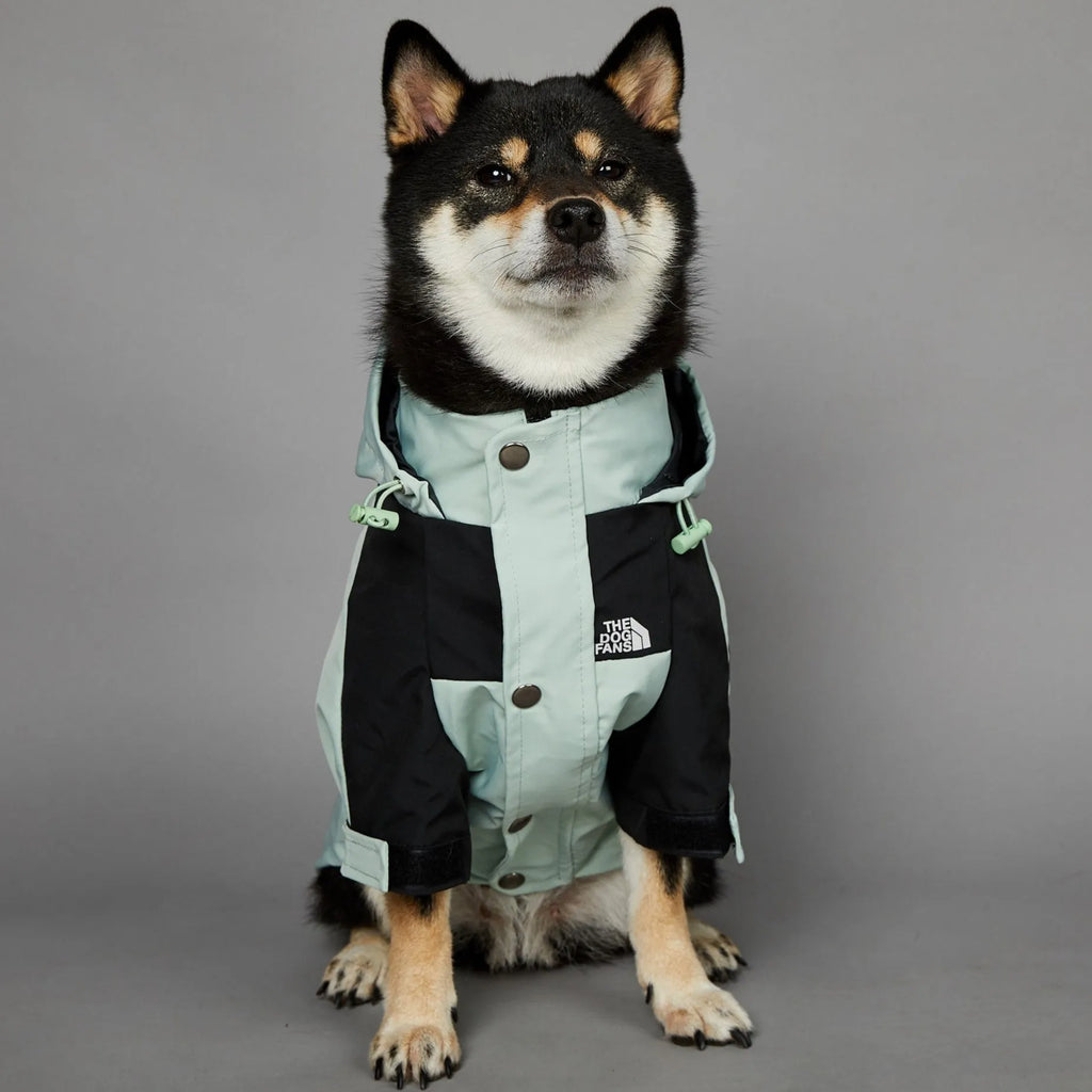 Light green windproof rainproof large dog raincoat in polyester with adjustable fit for sizes S to 5XL