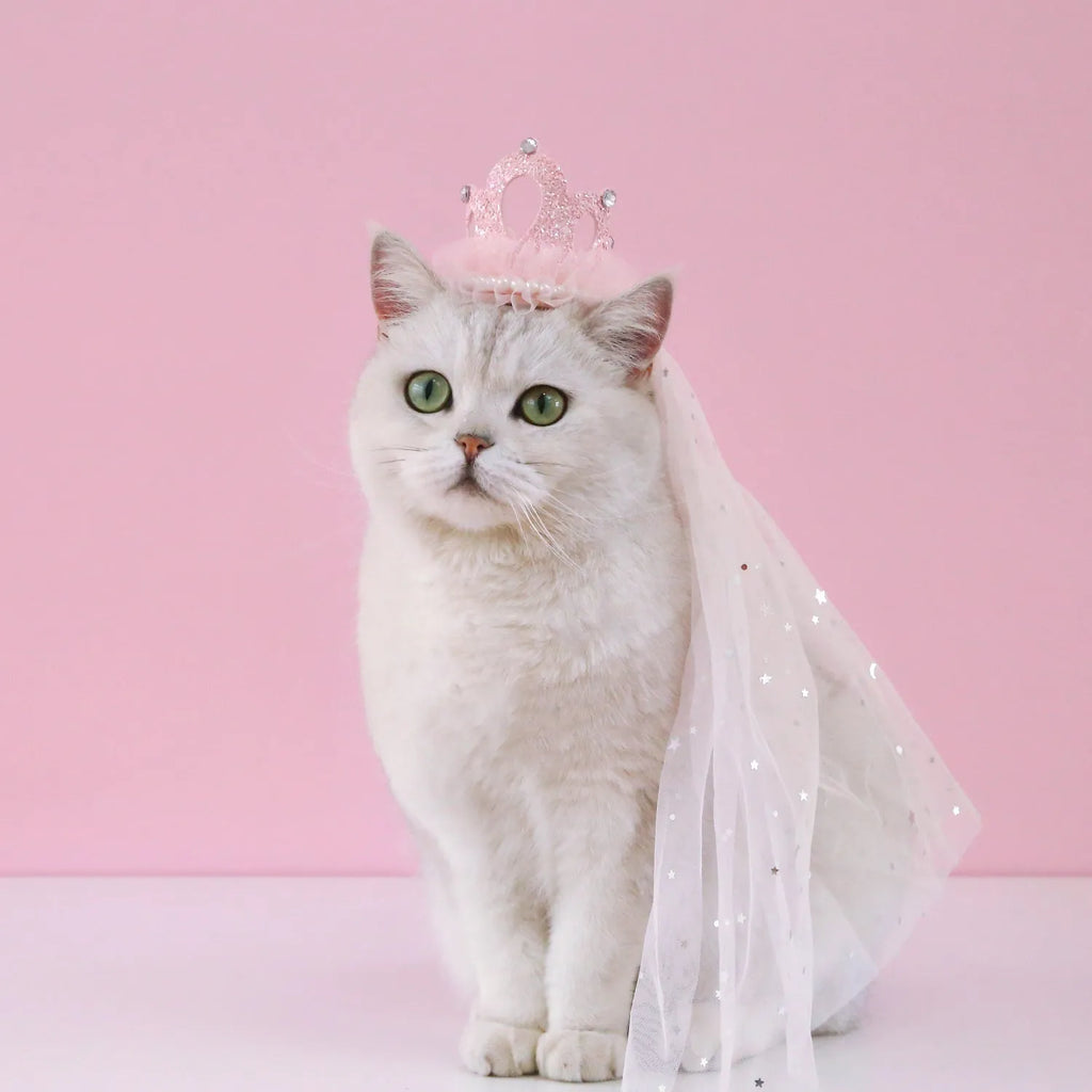 Princess crown headdress for cats with beige or pink veil options