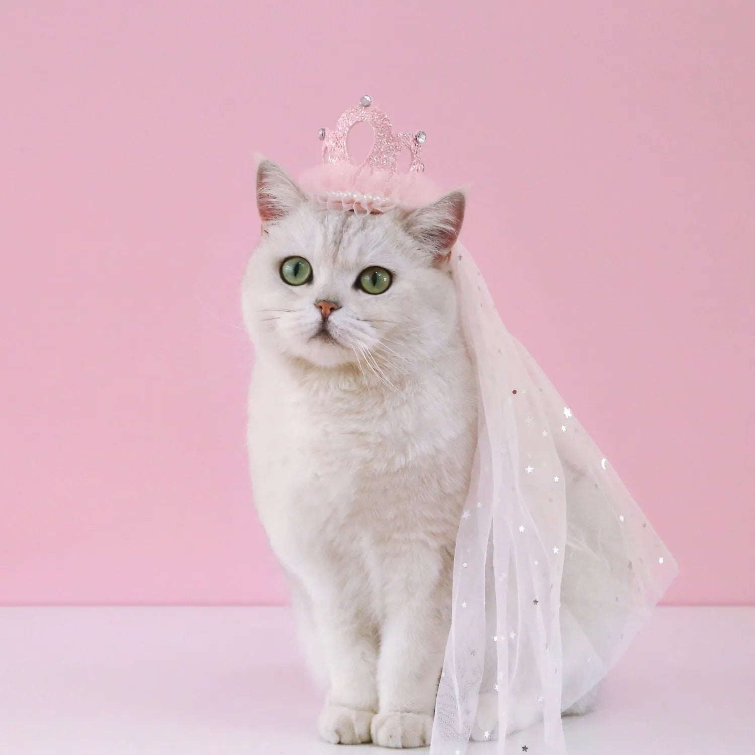 Princess crown headdress for cats with beige or pink veil options