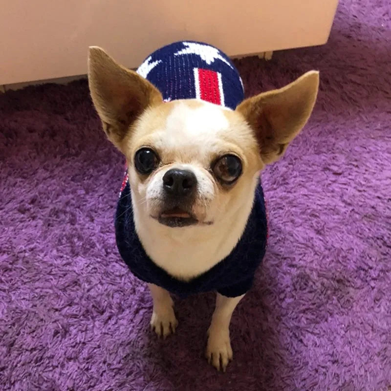 Christmas Maple Snowflake turtleneck knitted wool sweater for pet dogs, printed leaf pattern, casual style