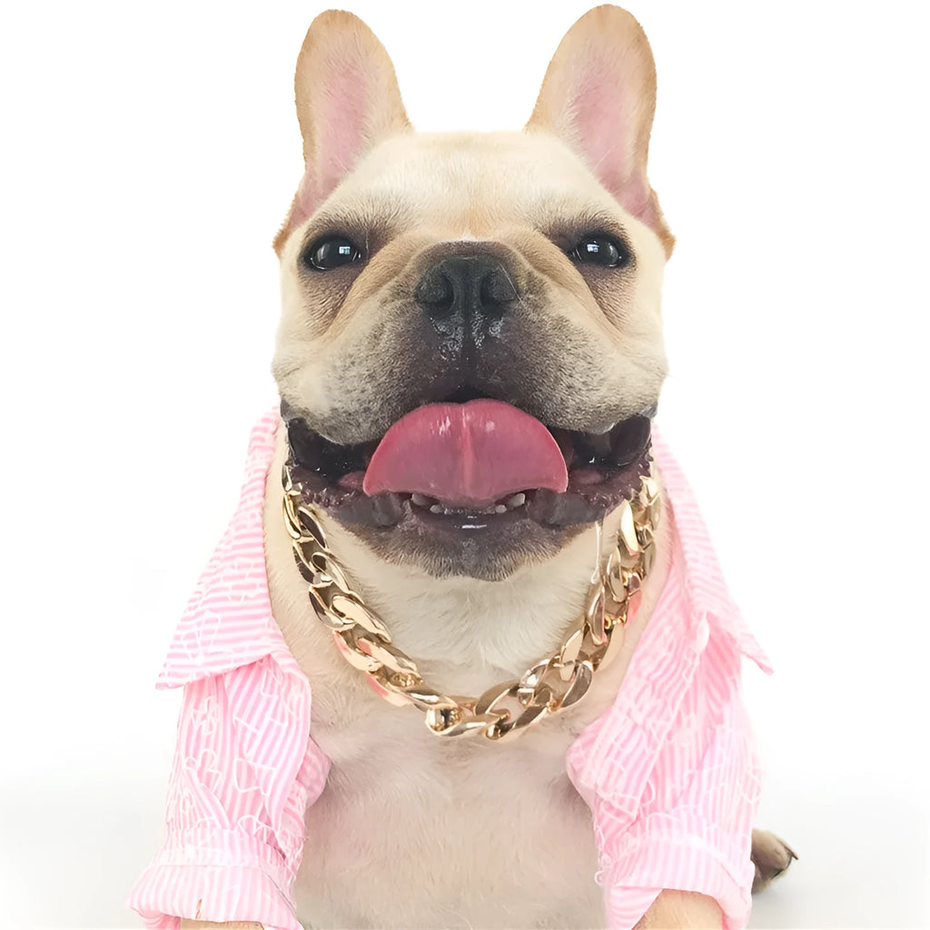 Gold colour adjustable dog collar necklace with twisted chain design for small to medium breeds