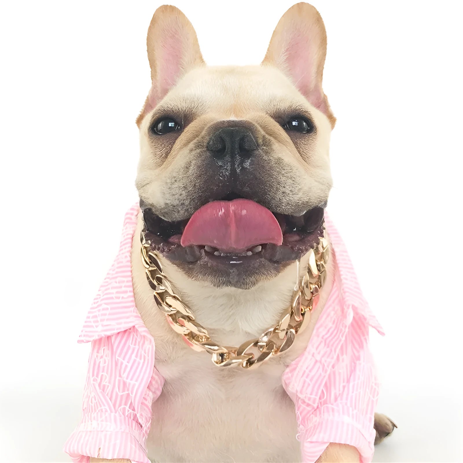 Gold colour adjustable dog collar necklace with twisted chain design for small to medium breeds
